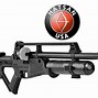 Image result for Compressed Gas Air Rifle