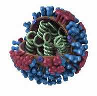 Image result for Virus