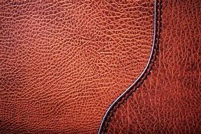 Image result for Hard Leather-Like Texture