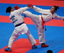 Image result for Karate Sport