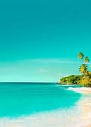 Image result for Pink Sand Beach Caribbean
