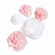 Image result for Pink and White Pom Poms