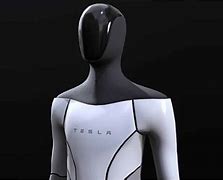 Image result for Tesla Humanoid