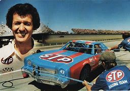 Image result for Richard Petty Best Race