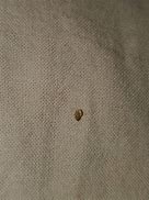 Image result for Smashed Bed Bug Cell Phone