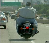Image result for Animal House Motorcycle Guy