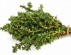 Thyme 的图像结果