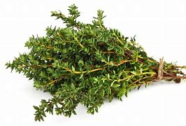 Image result for Thyme Herb