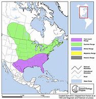 Image result for Western Red Bat Range