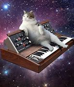 Image result for Cats On Synthesizers in Space