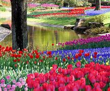 Image result for Flower Park Japan