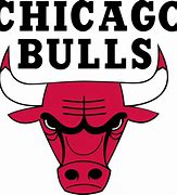 Image result for NBA Chicago Bulls Logo.png