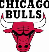 Image result for Chicago Bulls SVG