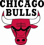 Image result for Chicago Bulls Basketball Logo