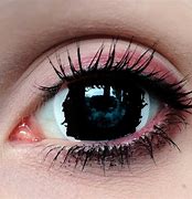 Image result for Novelty Contact Lenses
