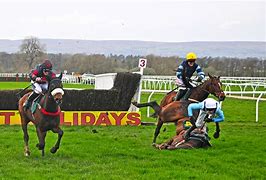 Image result for Horse Jockey Aerial View
