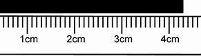 Image result for 5 Cm Length