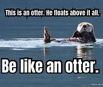 Image result for Otter Cooking Meme