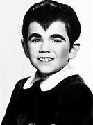 Image result for Actor Who Played Eddie Munster