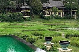 Image result for Four Seasons Resort Chiang Mai