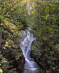 Image result for Lehigh Gorge State Park