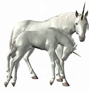 Image result for Fabulous Unicorn