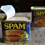 Image result for Tin of Spam