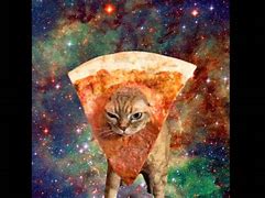 Image result for Galaxy Pizza Cat Wallpaper