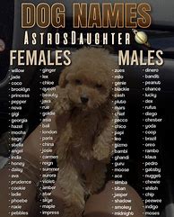 Image result for Cute Baby Dog Names