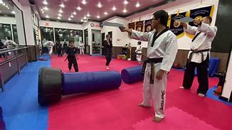 Image result for Martial Arts Breaking Techniques