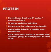 Image result for Tertiary Protein Structure
