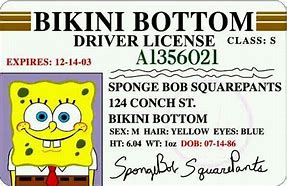 Image result for Spongebob Yep License Meme