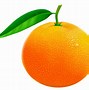 Image result for Panel Clip Art Orange