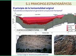 Image result for horizontalidad