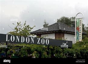 Image result for London Zoo Entrance