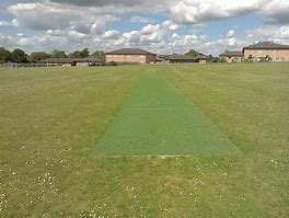 Image result for Cricket Wicket