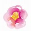 Image result for Simple Watercolor Flowers