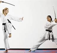 Image result for Sword Fight