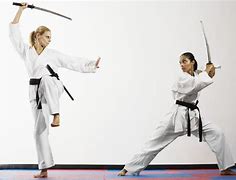 Image result for Types of Fight Sports