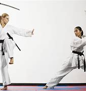 Image result for Samurai Sword Fighting Techniques