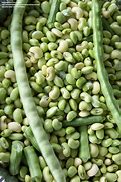 Image result for Southern Pea Plant