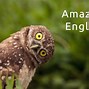 Image result for Amazing English