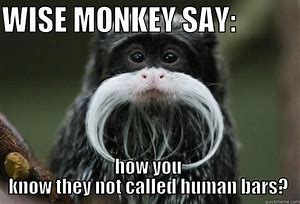 Image result for Monkey Talk Show Meme