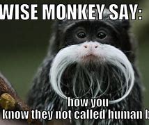 Image result for Monkey Meme Uwei