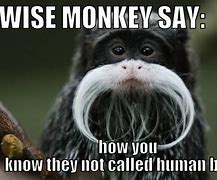 Image result for Monkey Meme Gimmie It