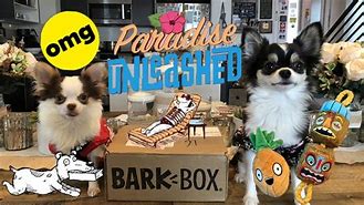 Image result for February 2018 Paradise Unleashed