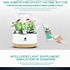 Image result for Self Watering Plant Pots Indoor