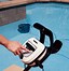 Image result for Robotic Pool Cleaner