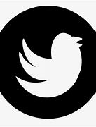 Image result for Twitter Logo White