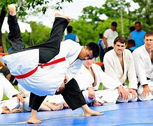 Image result for Hapkido Dummy